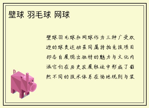 壁球 羽毛球 网球