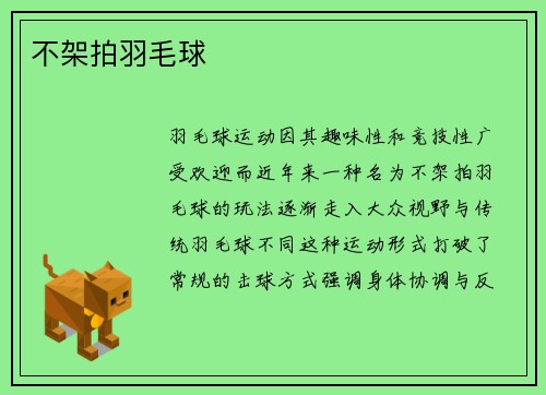 不架拍羽毛球